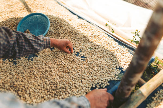 El café colombiano se mantiene firme en los mercados internacionales con un precio de cierre de 189,45 USCent/Lb